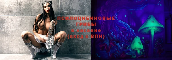 гашик Белоозёрский