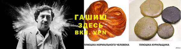СК Белокуриха