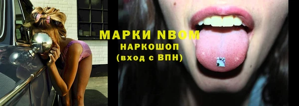 СК Белокуриха
