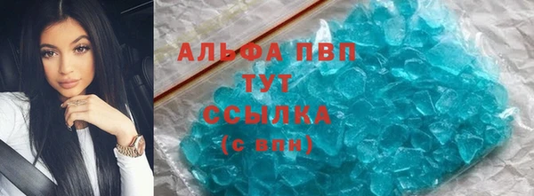 СК Белокуриха
