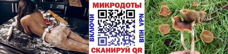 Псилоцибиновые грибы мицелий где продают наркотики shop Telegram Воронеж